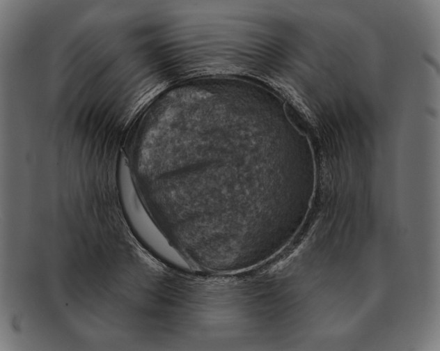 X0000092040889200710100955