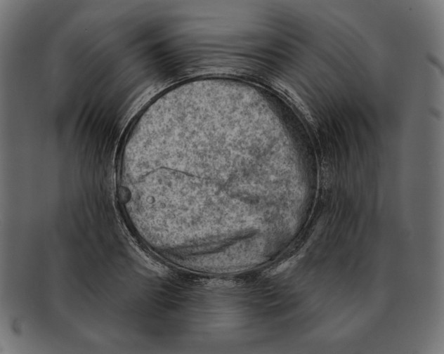 X0000092040890200710100955