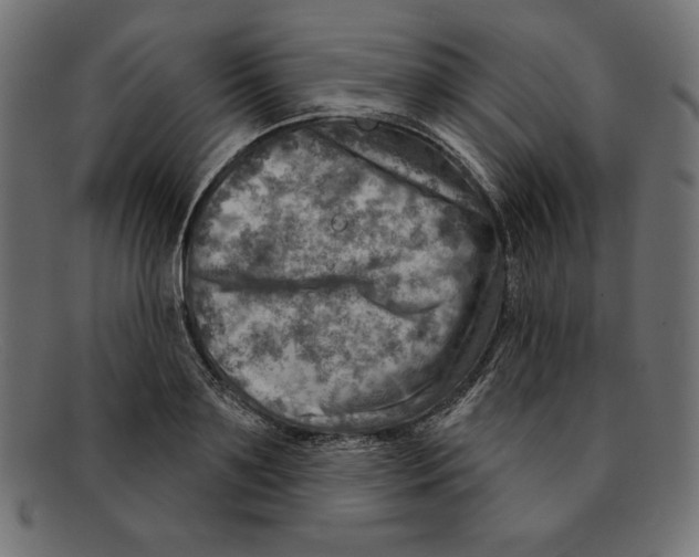 X0000092040891200710100955