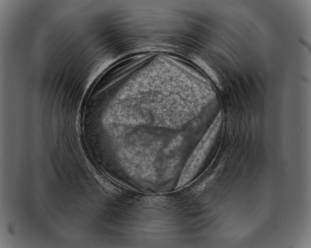 X0000092040893200710100955