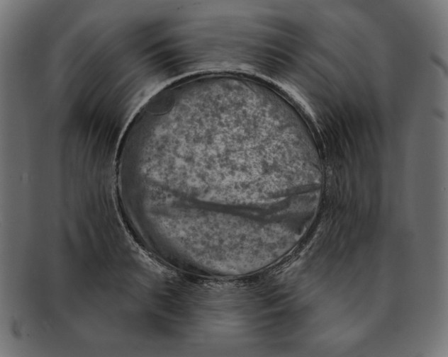 X0000092040895200710100955