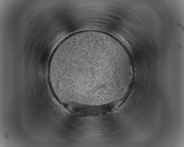 X0000092040896200710100955