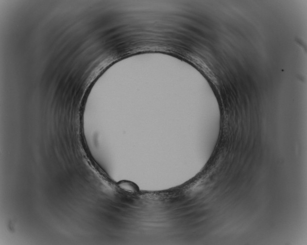 X0000092040898200710100955