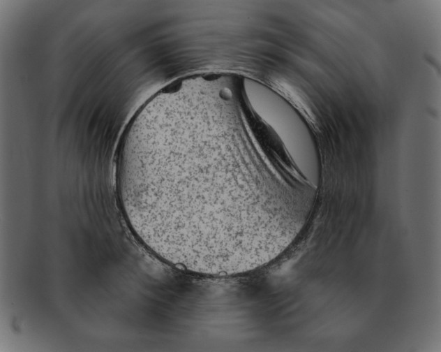 X0000092040900200710100955