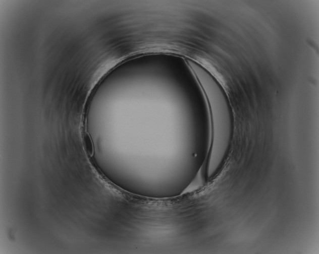 X0000092040901200710100955