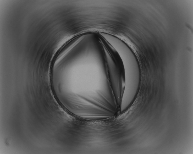 X0000092040902200710100955