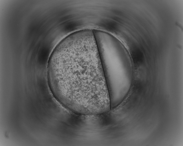 X0000092040903200710100955