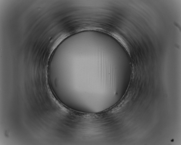 X0000092040906200710100955