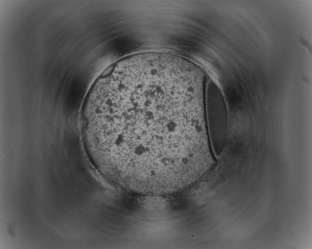 X0000092040907200710100955