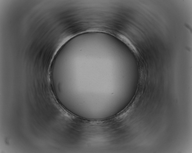 X0000092040908200710100955