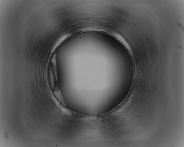 X0000092040909200710100955