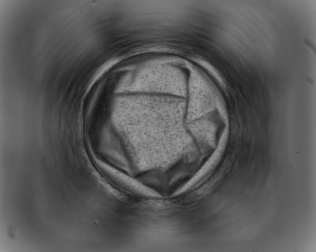 X0000092040910200710100955