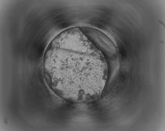 X0000092040911200710100955