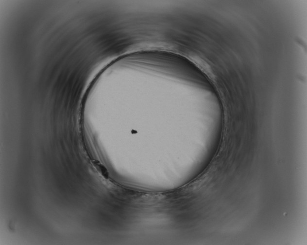 X0000092040912200710100955