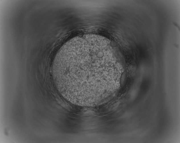 X0000092040913200710100954