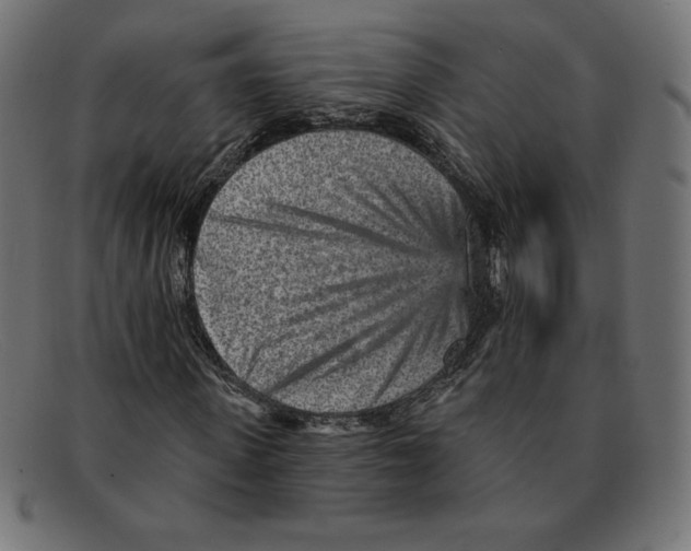 X0000092040915200710100954