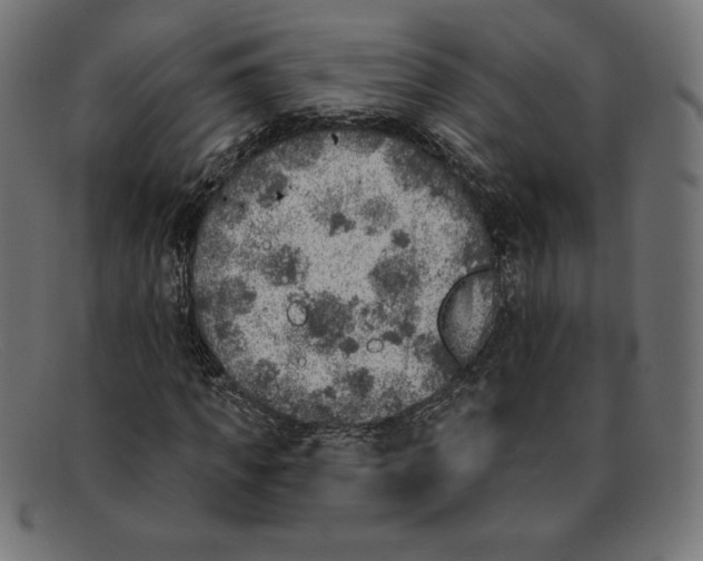 X0000092040917200710100954