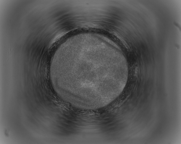 X0000092040919200710100955