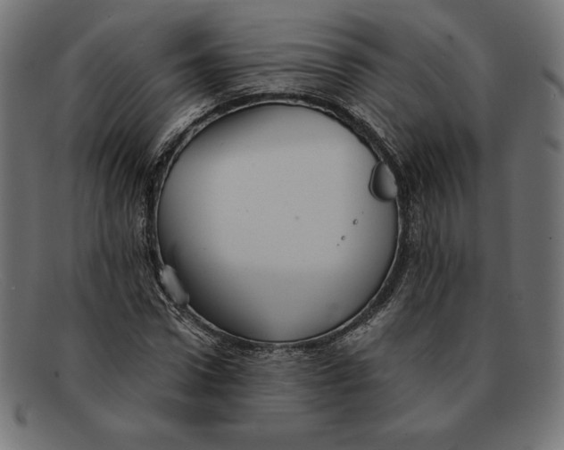 X0000092040922200710100955