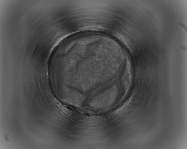 X0000092040923200710100955