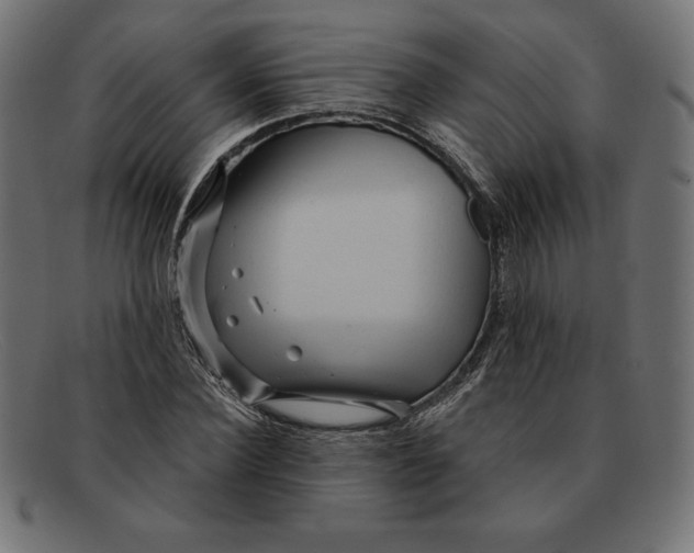 X0000092040924200710100955