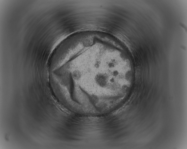 X0000092040925200710100955