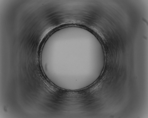 X0000092040927200710100955