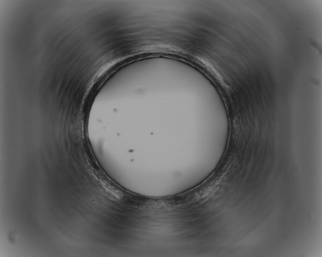 X0000092040931200710100955