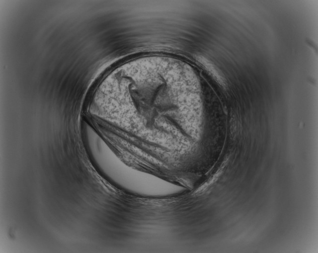 X0000092040932200710100955