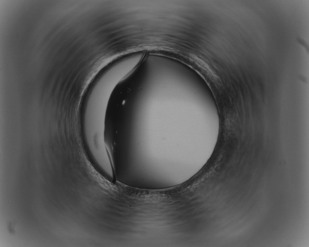 X0000092040934200710100955