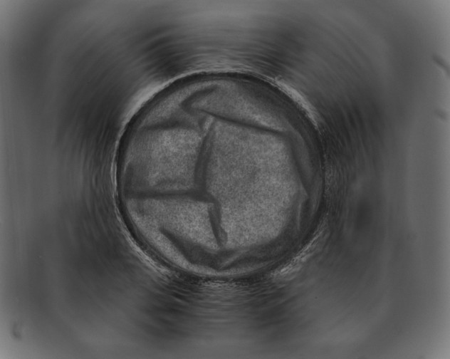 X0000092040935200710100955