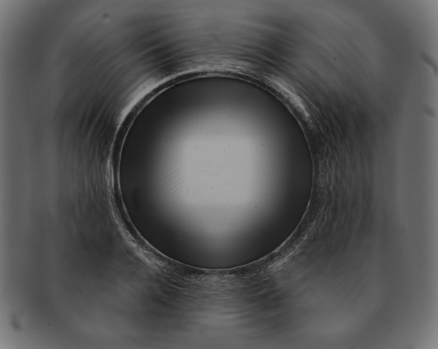 X0000092040936200710100955