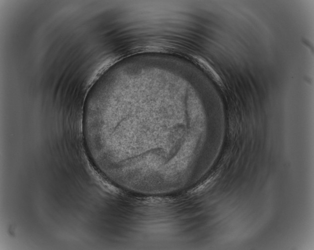 X0000092040938200710100955