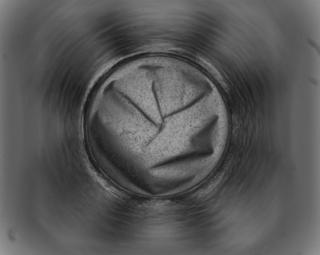 X0000092040939200710100955