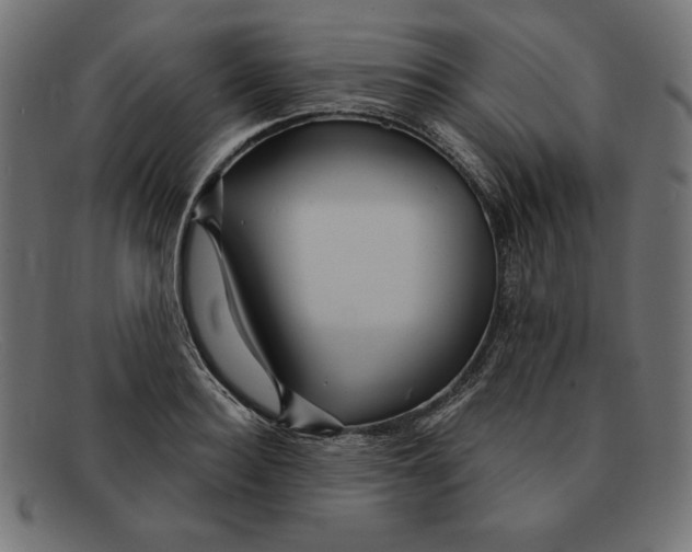 X0000092040940200710100955