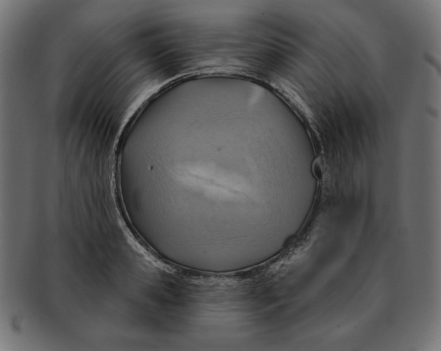 X0000092040941200710100955