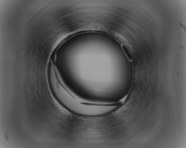 X0000092040942200710100955