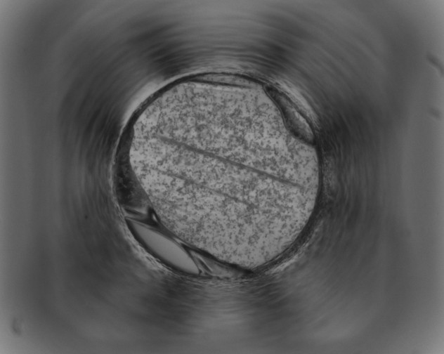 X0000092040944200710100955