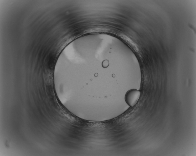 X0000092040945200710100955