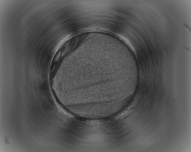 X0000092040946200710100955