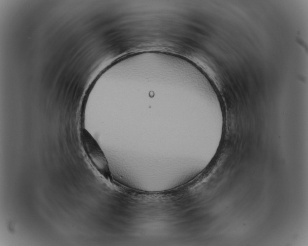 X0000092040949200710100955