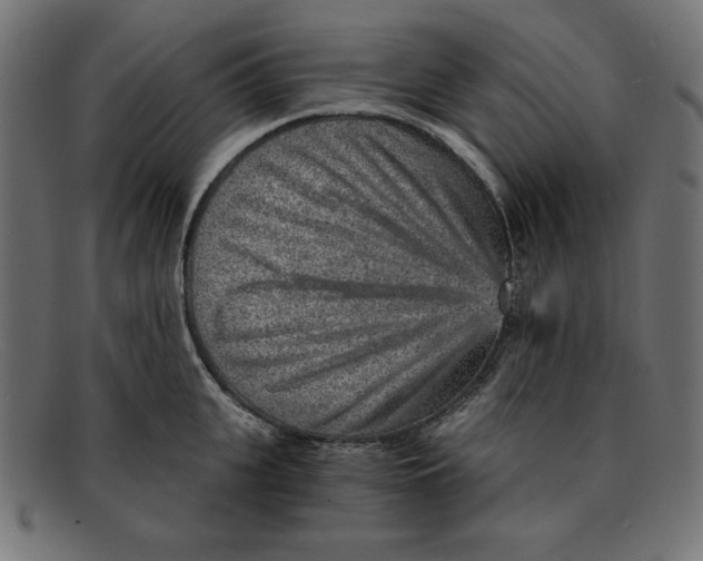 X0000092040951200710100955