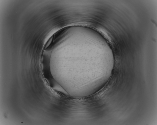 X0000092040952200710100955