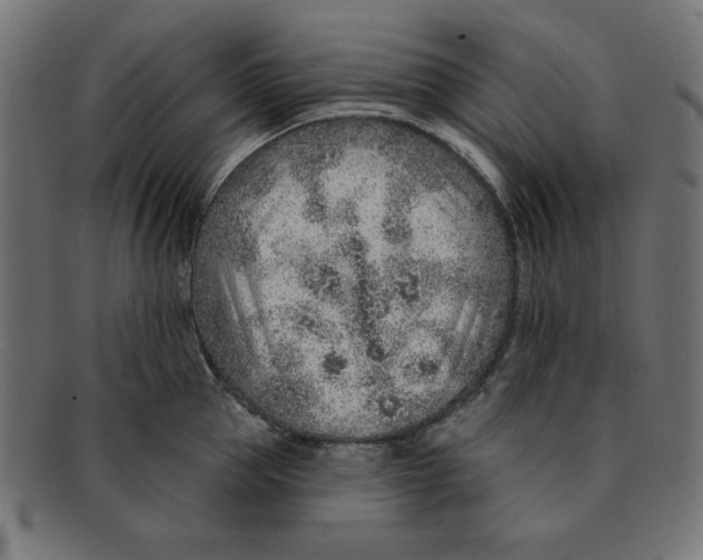 X0000092040953200710100955