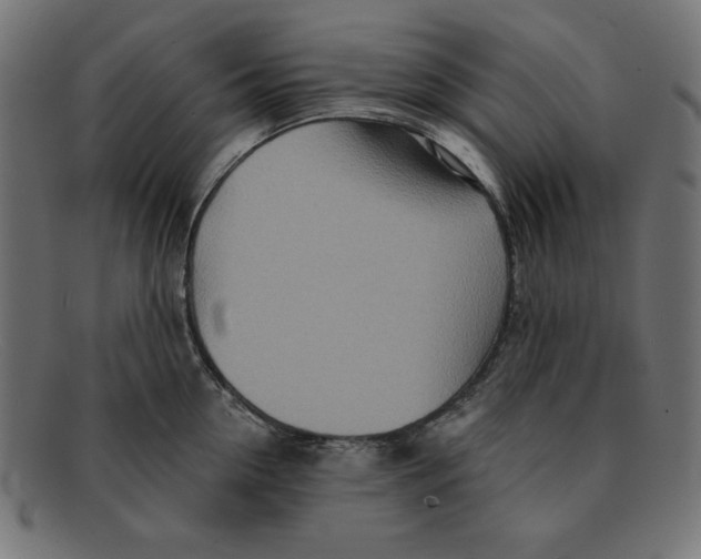 X0000092040954200710100955