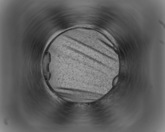 X0000092040955200710100955