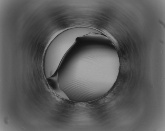 X0000092040956200710100955