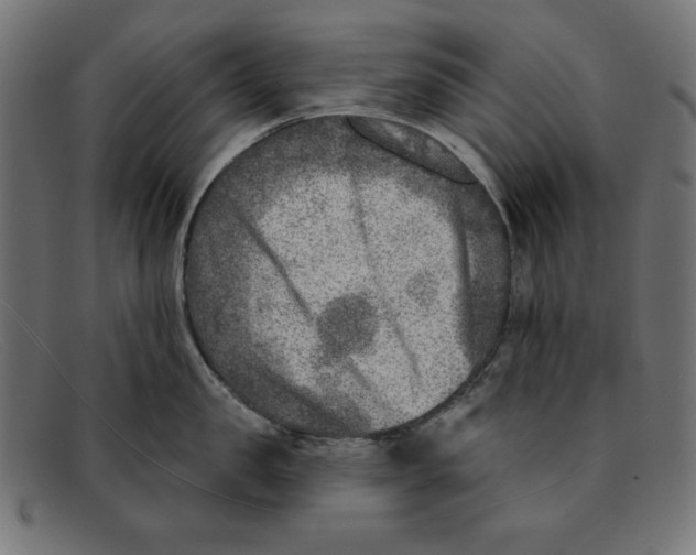 X0000092040957200710100955