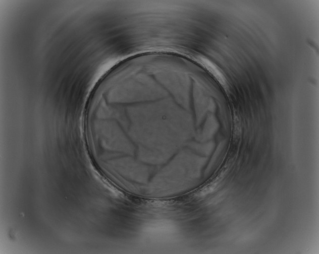 X0000092040958200710100955