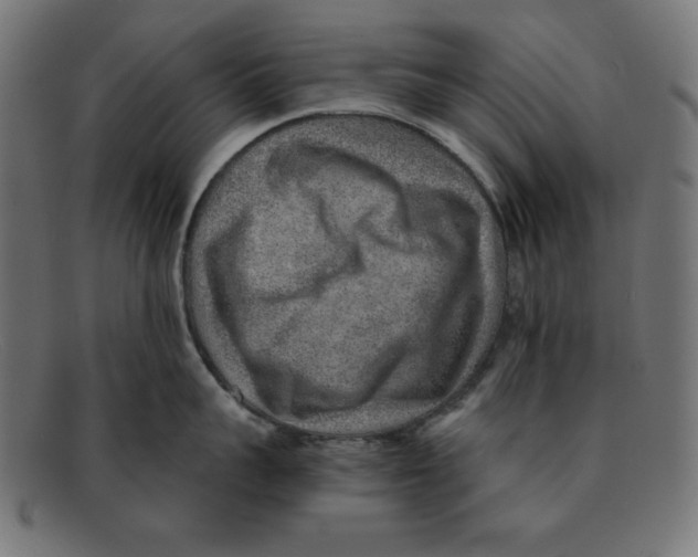 X0000092040959200710100955